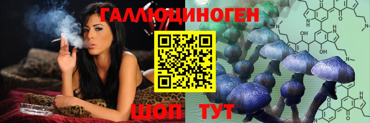 Кувандык  Галлюциногенные грибы ЛСД  Вход с VPN  Галлюциногенные грибы мицелий 
